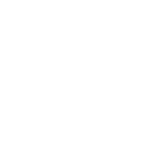 BM Security